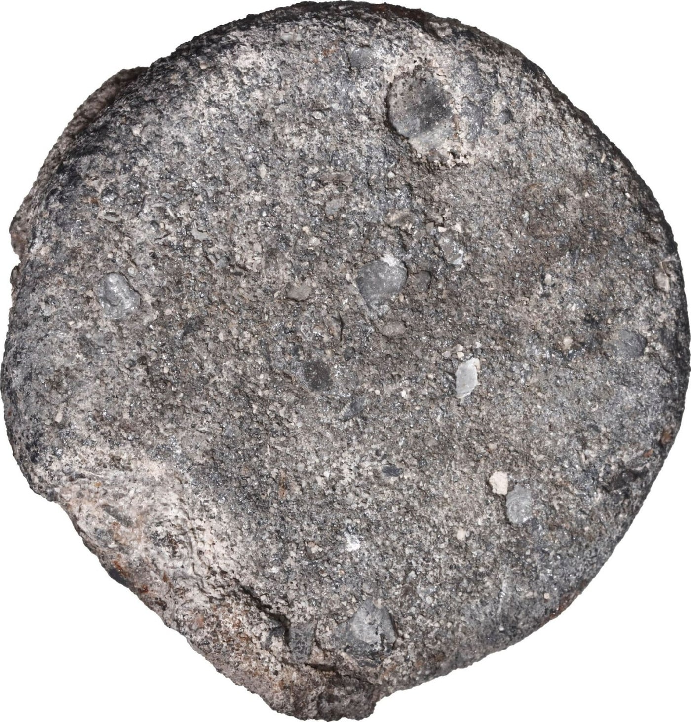 Vliegenthart Shipwreck 1735 Encrusted Netherlands Silver Ducatoon "Biscuit" COA